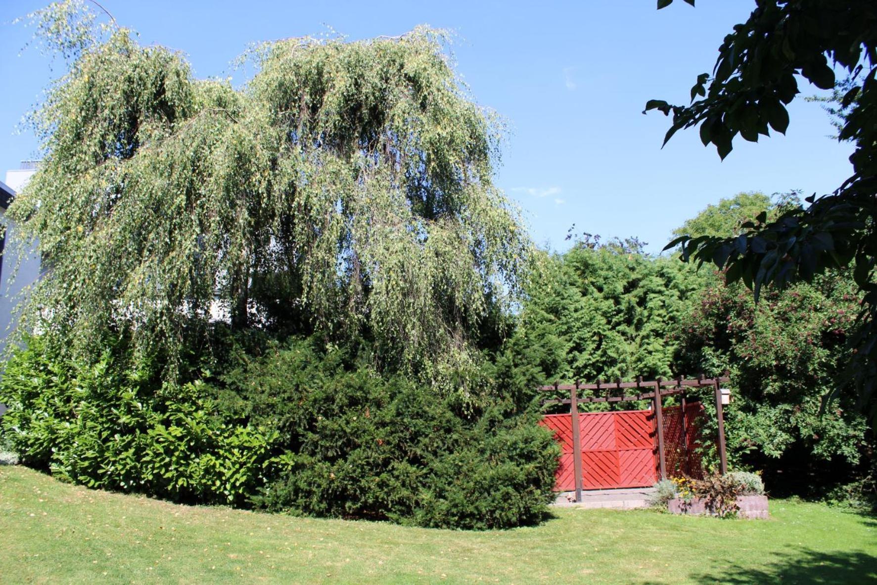 Ferienwohnung Moehneblick Möhnesee Exteriör bild